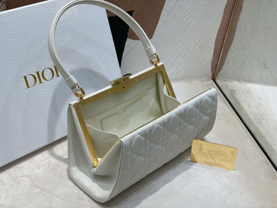 Dior New Handbag This handbag is a new autumn 2023 item paired with a top handle showcas